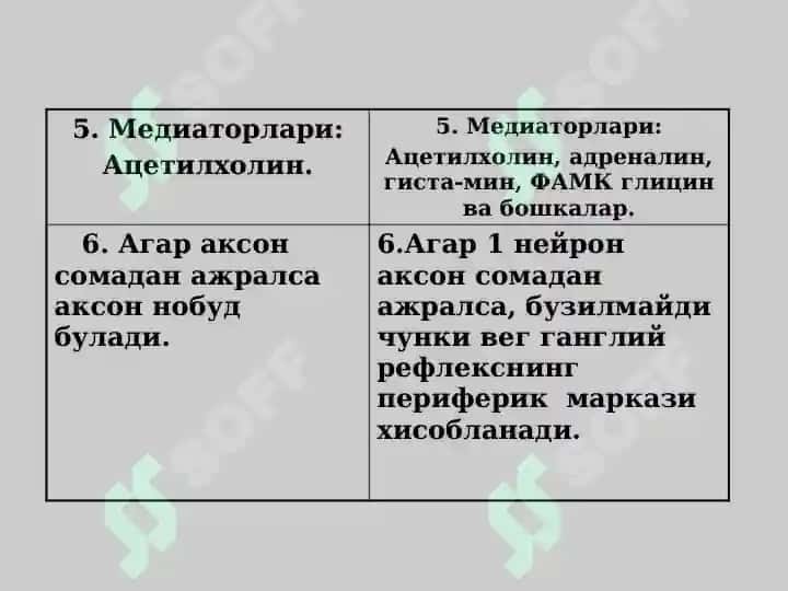 Вегетатив нерв тизими 5