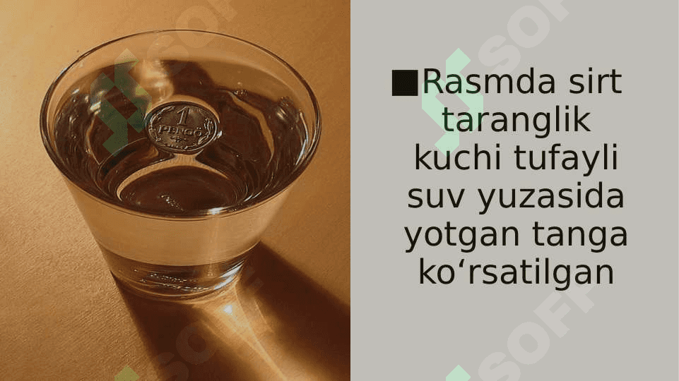 Biofizikadan slayd 4