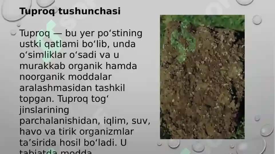 Tuproq va uning tabiiy xususiyatlari 4
