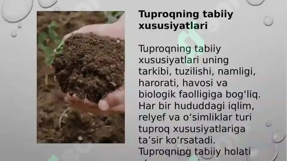 Tuproq va uning tabiiy xususiyatlari 5
