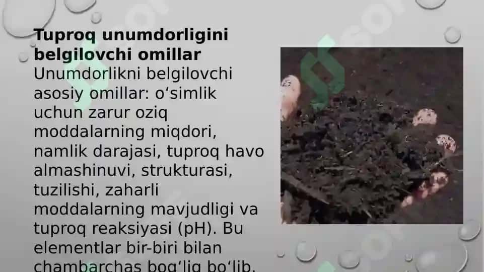 Tuproq va uning tabiiy xususiyatlari 7
