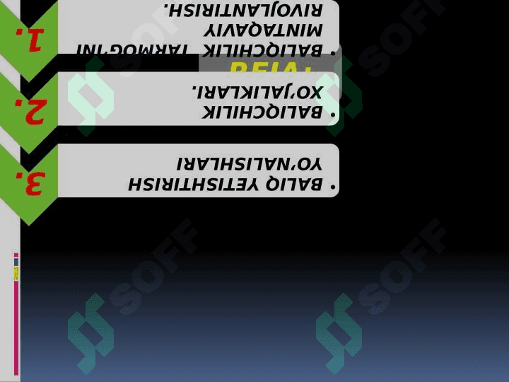 BALIQCHILIKNI TASHKIL ETISH 2