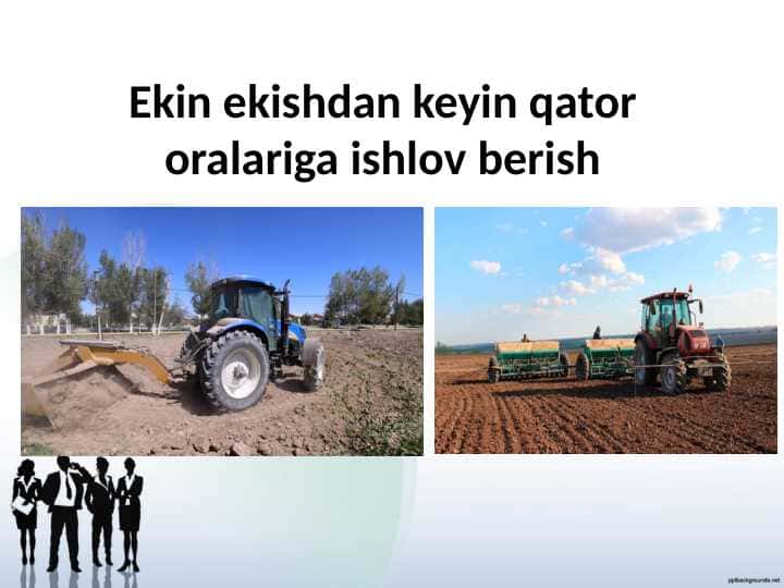 Ekin ekishdan keyin qator oralariga ishlov berish