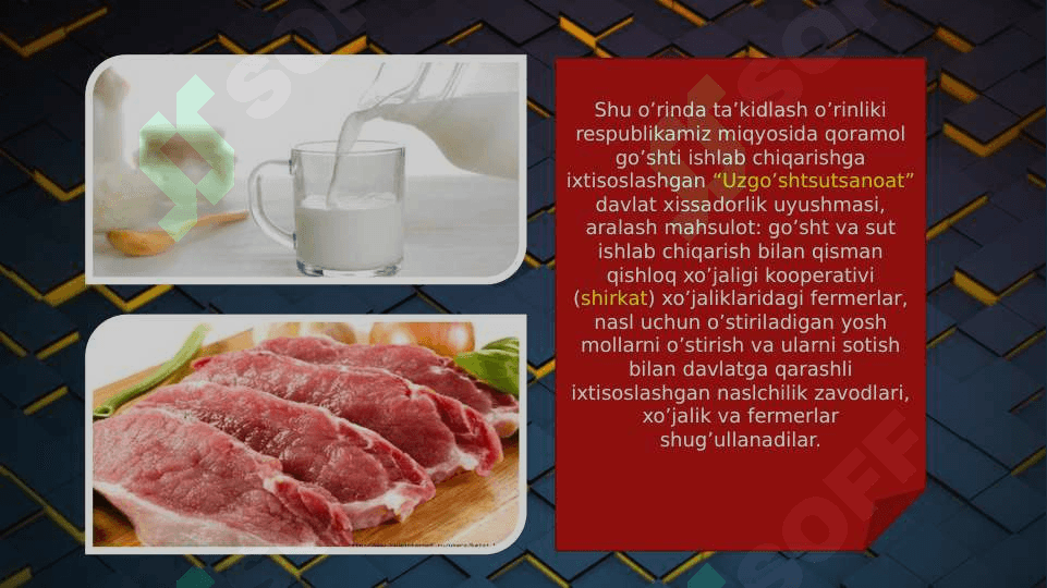 GO’SHT VA SUT YO’NALISHIDAGI QORAMOLCHILIKNI TASHKIL ETISH 4