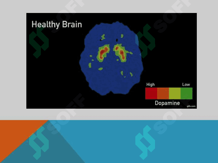 Dofamin va dofaminergik vositalar. Serotonin va Serotoninergik vositalar. 8