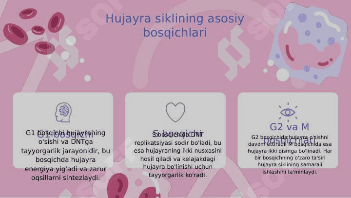 fiziologiya 3