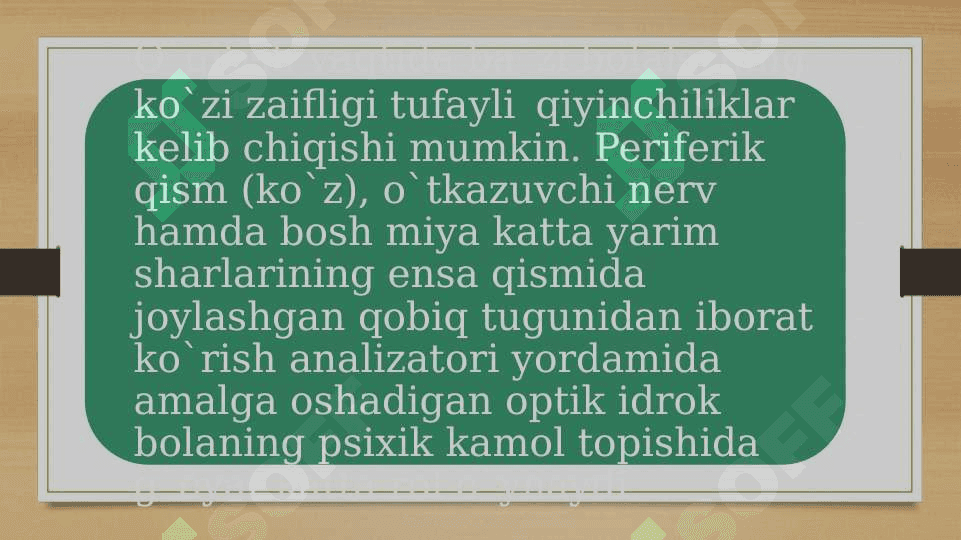 Ko'zi ojiz bolalar talimining tashkiliy shakllari 4