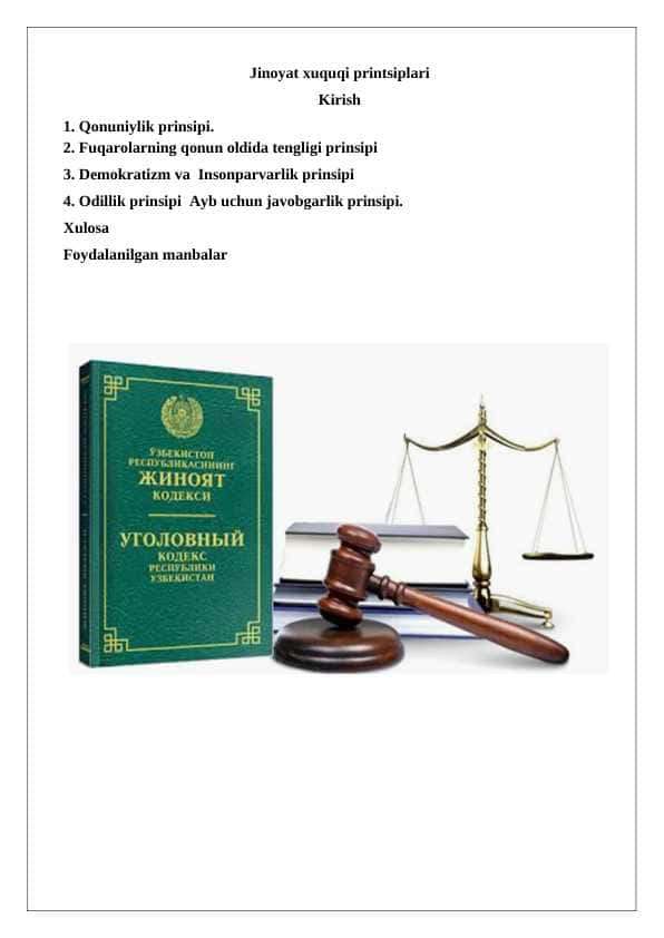 Jinoyat xuquqi printsiplari  24
