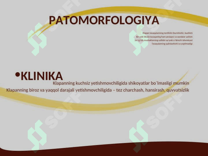 Mitral klapan prolapsi 4