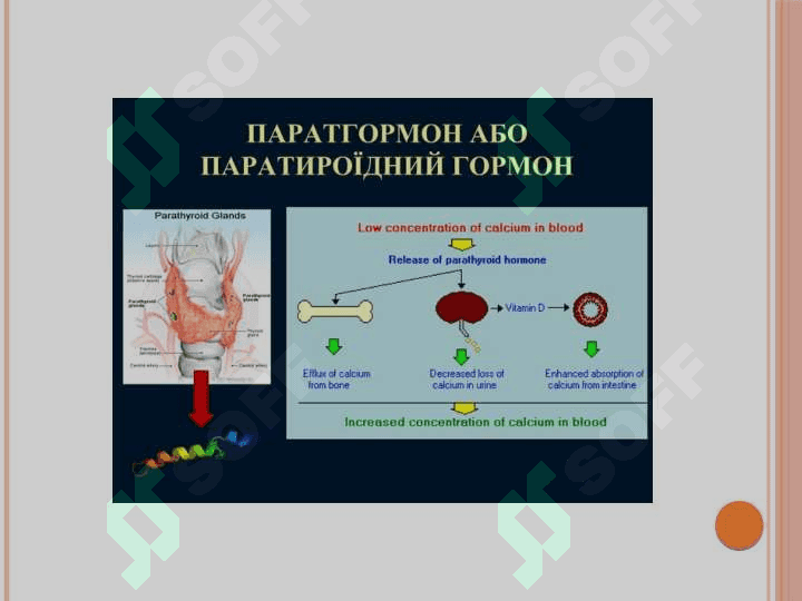 Gormonlar va o'sish omillarining suyak rezorbsiyasi va osteogenezi
 jarayonlar boshqarilishidagi ahamiyati 4