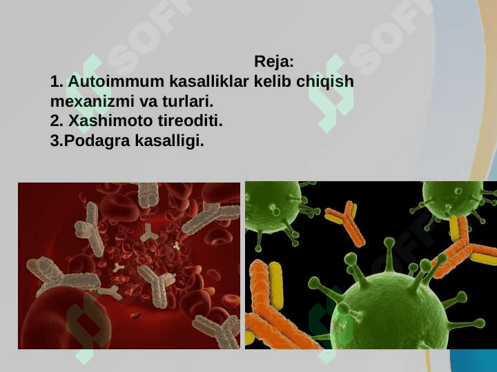 Immunologik Tolerantlik Nuqsonlari va Autoimmun Kasalliklar 2