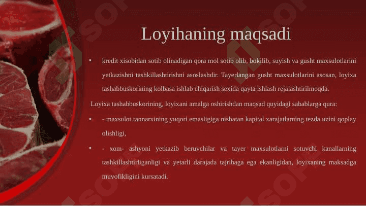 GO’SHT VA KOLBASA MAXSULOTLARINI Ishlab chiqarish loyihasi 3