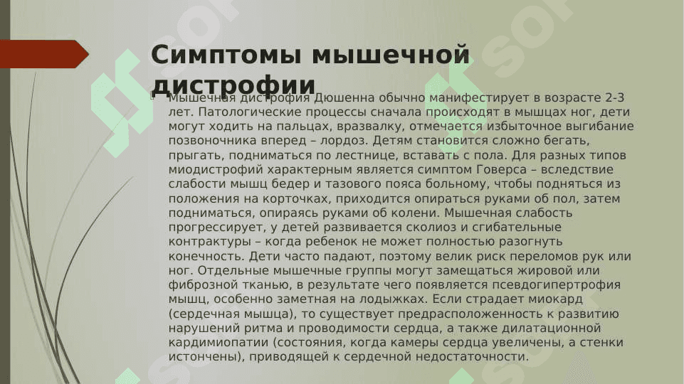 биохимия сердца и мышц. 6