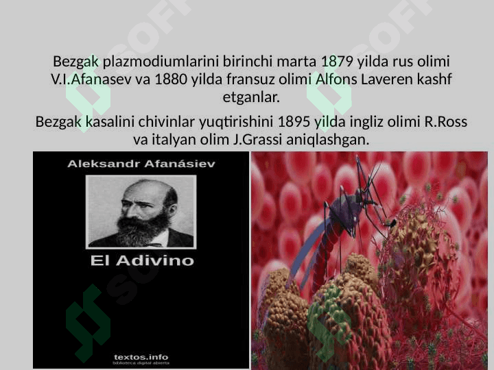 Qon sporalilar (Haemosporidia) turkumi vakillari odam va issiq qonli hayvonlarning qizil qon hujayralari - eritrositlarida parazitlik qiladi. Bu turkumga 100 ga yaqin tur kiradi. 4