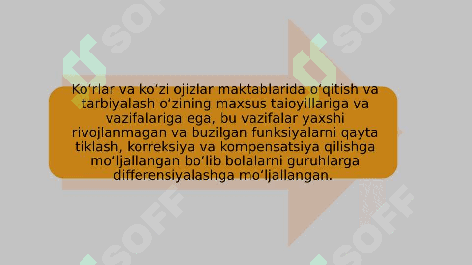 Ko‘rishida nuqsoni bo‘lgan bolalar maktabida tarbiyaning mohiyati,maqsadi va vazifalari 6
