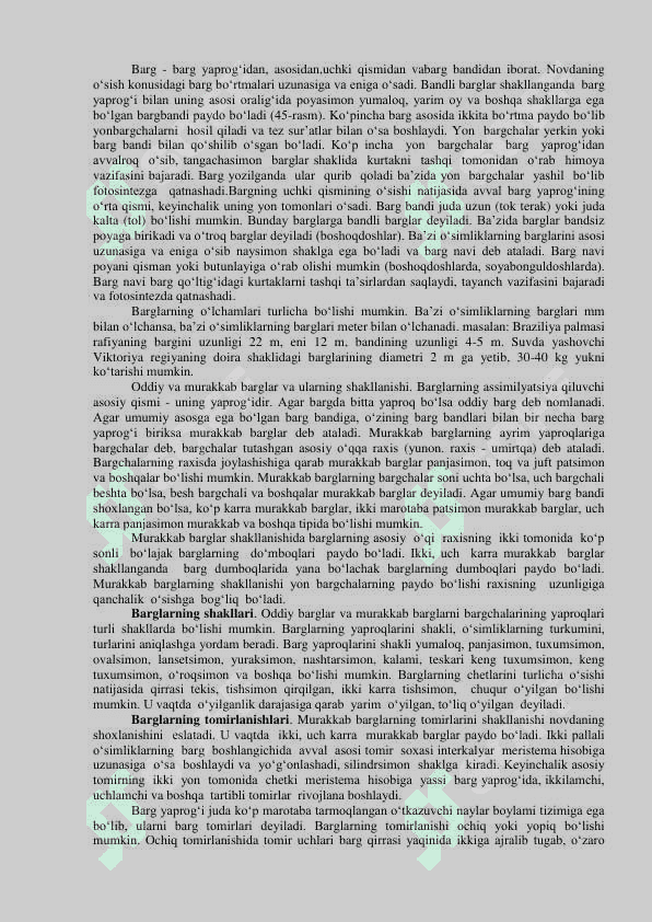 BARG TUZILISHI, VAZIFASI, TIPLARI VA ULARNING INSONLAR HAMDA QISHLOQ XO`JALIGIDAGI AHAMIYATI 3