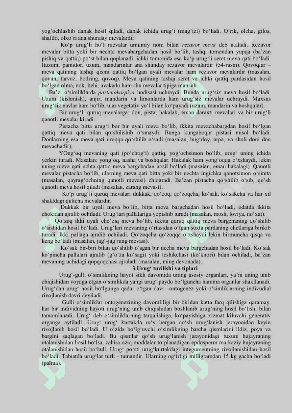 MEVA, URUG‘ TUZILISHI, TIPLARI VA KLASSIFIKATSIYASI 2