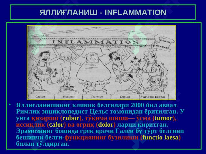 Yallig`lanish Patofiziologiyasi 3