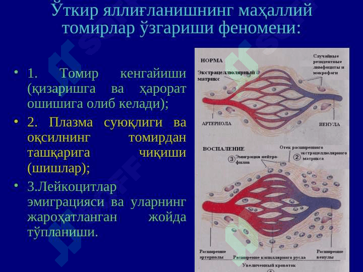 Yallig`lanish Patofiziologiyasi 8