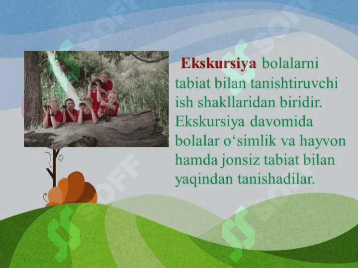 Ekskursiya turlari va ularni tashkil etish 3