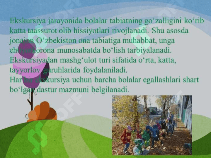 Ekskursiya turlari va ularni tashkil etish 4