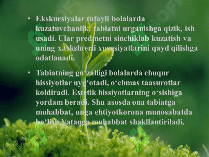 Ekskursiya turlari va ularni tashkil etish 6