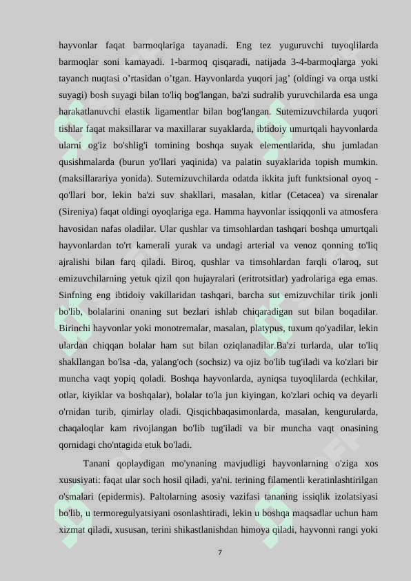 Sutemizuvchilar sinfi va ularning sistematikasi 7