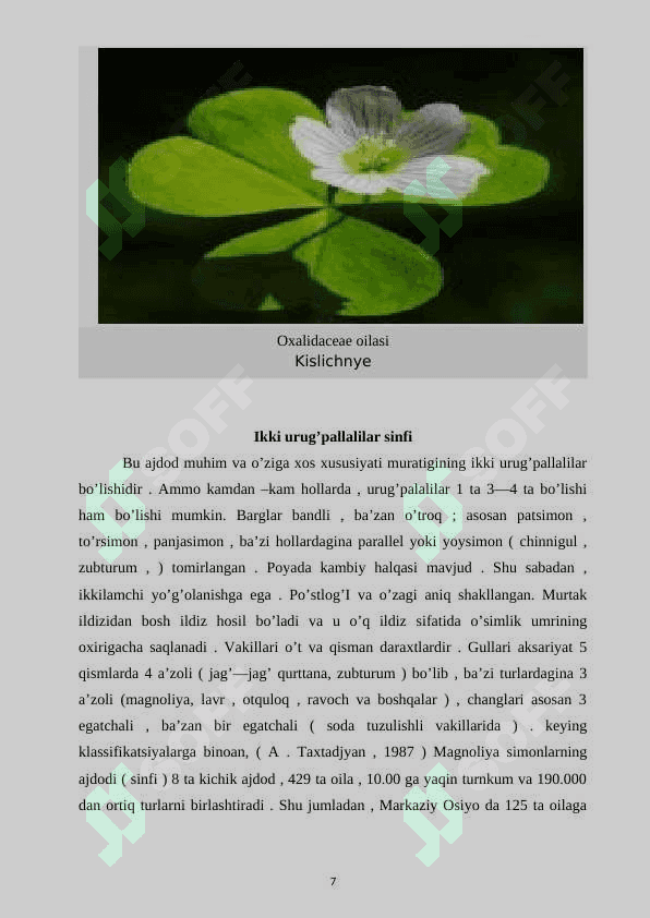 Qirmizakdoshlar oilasi 6