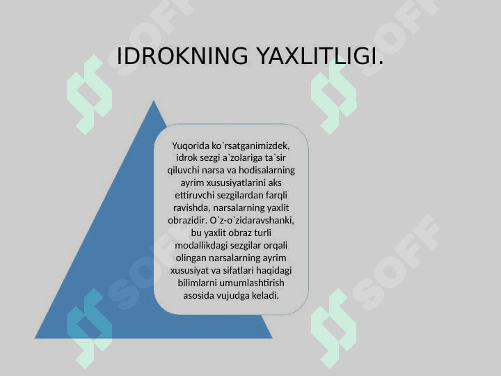 IDROK 6