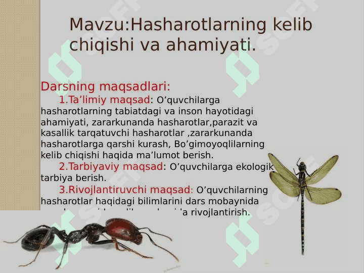 Hasharotlarning rivojlanishi va paydo bo’lishi dars ishlanma 2
