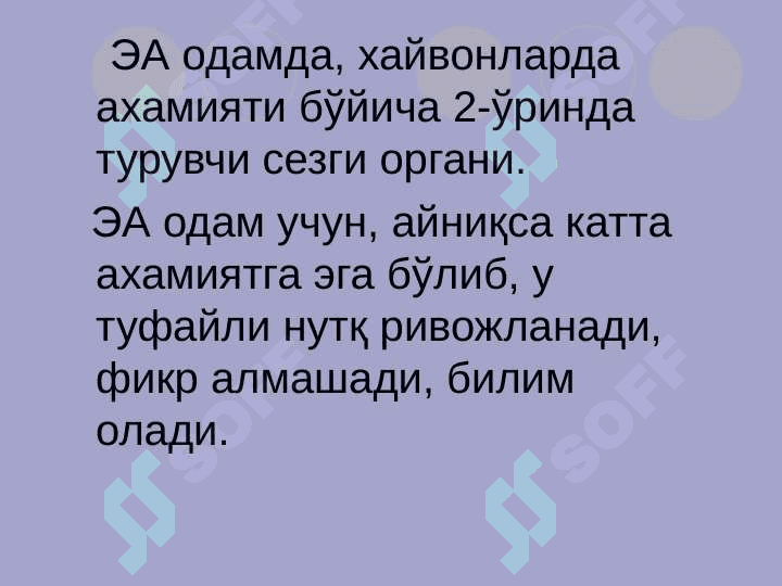 Эшитув ва вестибуляр анализаторларининг физиологияси 3