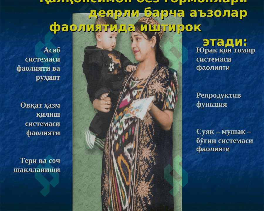 Қалқонсимон без ва уни функсияси 8
