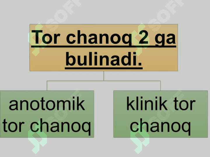 Zamonaviy akusherlikda tor chanoq. 5