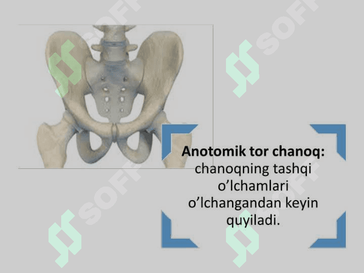 Zamonaviy akusherlikda tor chanoq. 6