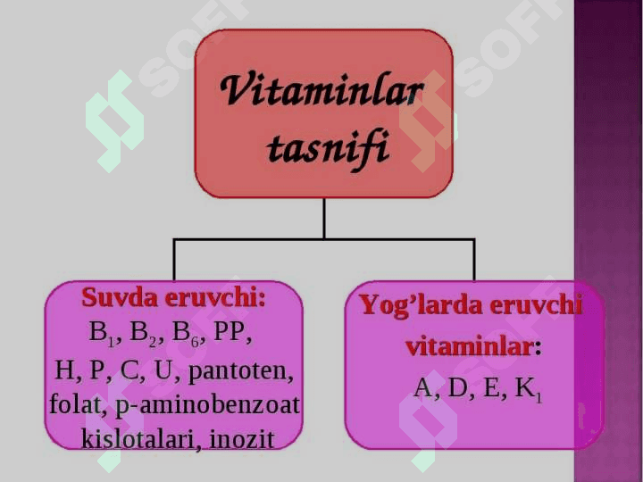 vitaminlar 7