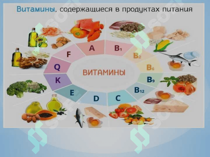 vitaminlar 8