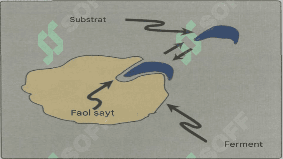 Fermentlarning o'ziga xosligini o'zgartirish va nanotexnologik muammolar va ISTIQBOLLAR 6