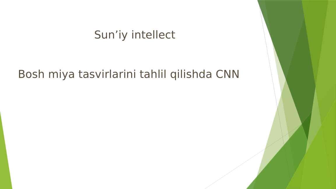 BOSH MIYA TASVIRLARINI TAHLIL QILISHDA CNN. 1