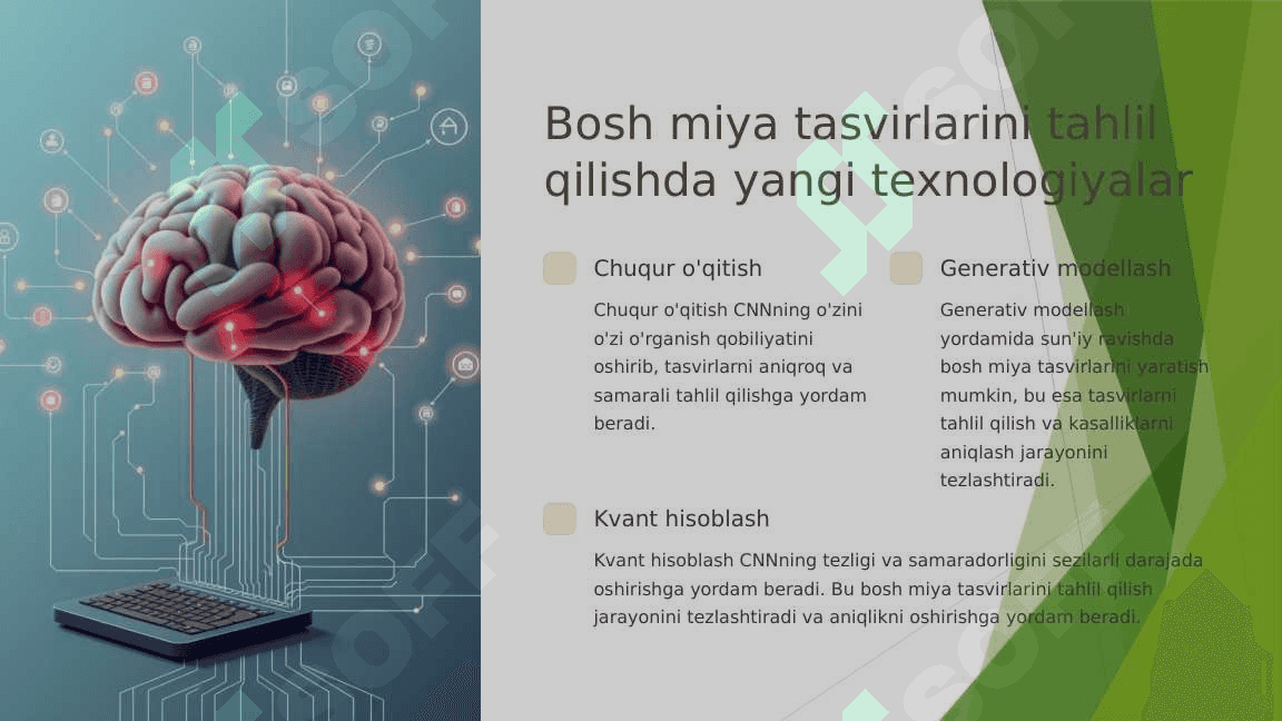 BOSH MIYA TASVIRLARINI TAHLIL QILISHDA CNN. 3