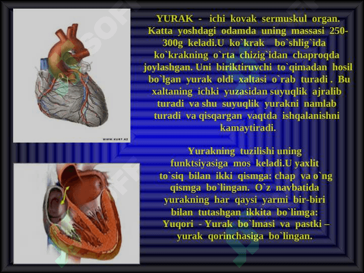 ICHKI KASALIKLAR 4