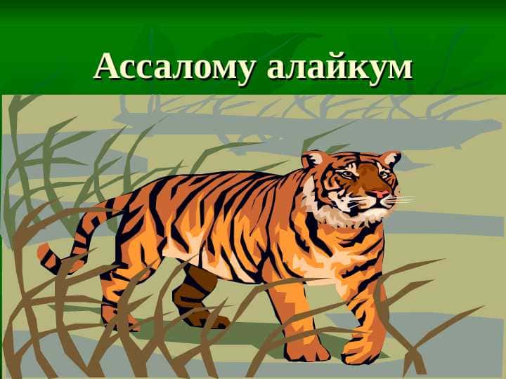 Vodorod elementi va uning hossalari