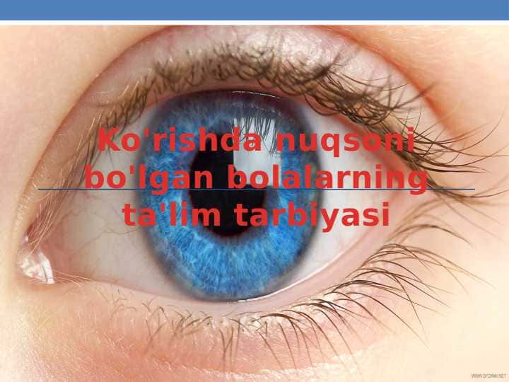 ko'rishda nuqsoni bo'lgan bolalarning ta'lim tarbiyasi