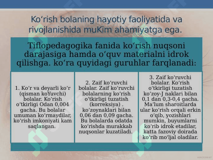 ko'rishda nuqsoni bo'lgan bolalarning ta'lim tarbiyasi 2