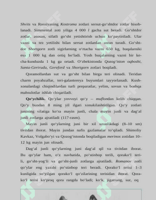 SUT EMIZUVCHILAR SINFIGA MANSUB CHORVA MOL MAVUZSIDA ishlanma 3