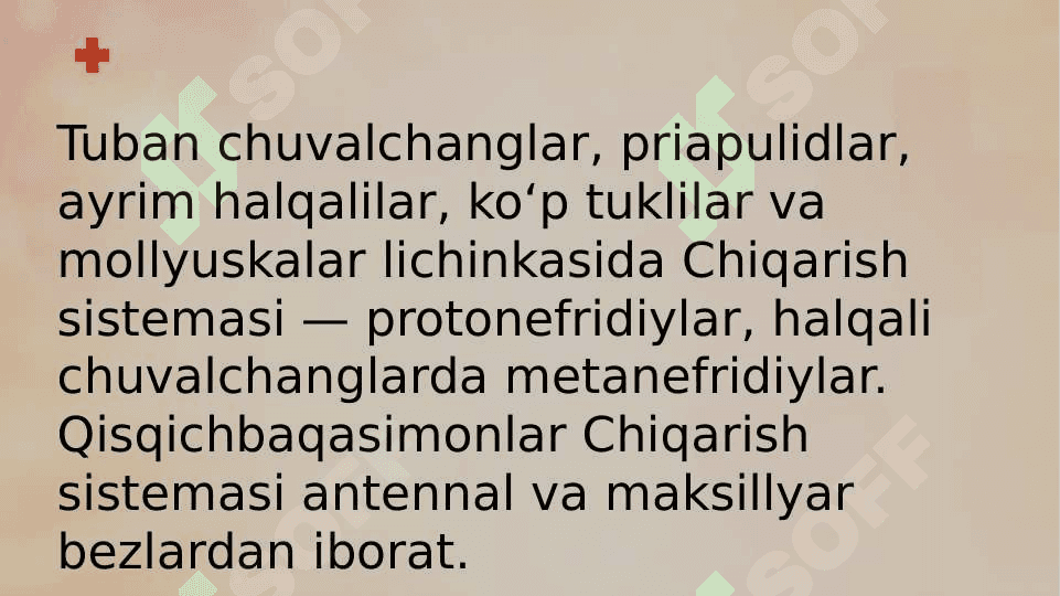 AYIRISH SISTEMASI 6