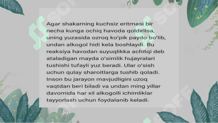 Achitqi va tafrinaning tuzulishi  va koʻpayishi 2