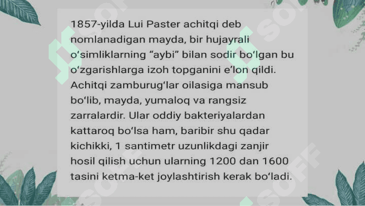 Achitqi va tafrinaning tuzulishi  va koʻpayishi 4