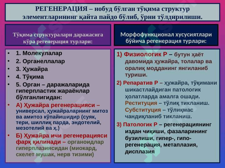 Moslashish o`rin almashish jarayonlari / Мослашиш урин алмашиш жараенлари 3