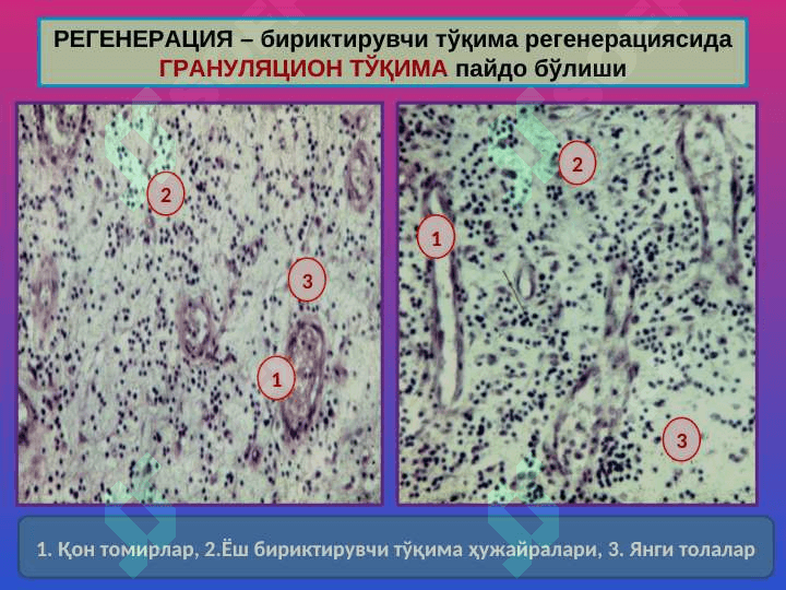 Moslashish o`rin almashish jarayonlari / Мослашиш урин алмашиш жараенлари 4
