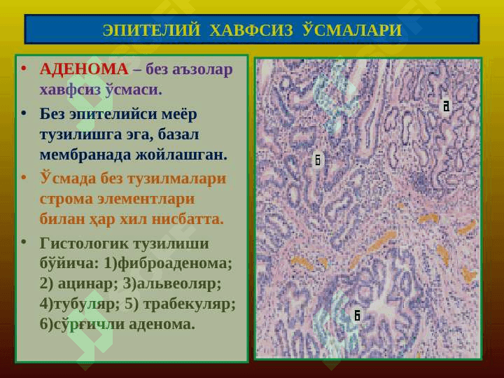 Mezenxemal o`smalar / Мезенхемал усмалар 3